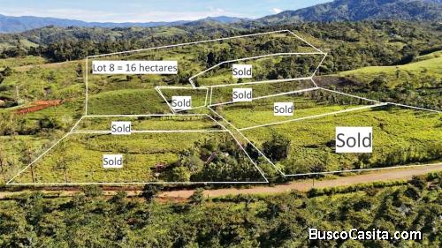 VENTA DE MACRO-PROPIEDAD DE 16 HA EN SANTA ELENA HILLS, PEREZ ZELEDON: LA JOYA DE LA CORONA