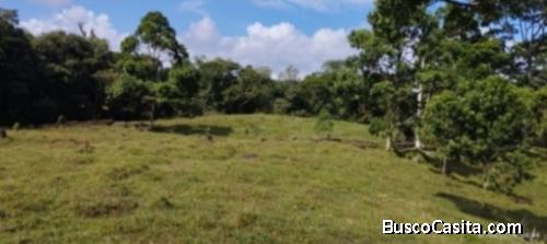 VENDO ESPECTACULAR FINCA EN HORQUETAS DE SARAPIQUÍ.