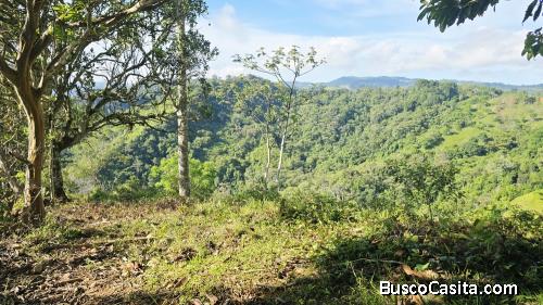 SE VENDE FINCA CON VISTAS PANORAMICAS E IDEAL PARA GLAMPING EN PEREZ ZELEDON