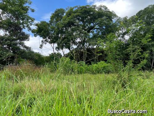 Venta de Espectacular Lote de Terreno en San Pablo de Turrubares  Mls. 26-1316 OFC JB