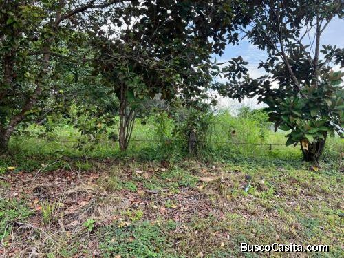 Venta de Bonito Lote de Terreno en San Pablo de Turrubares Mls. 26-1315 OFC JB