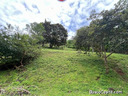 Venta de Extenso Lote de Terreno en Atenas, Alajuela  Mls. 26-956 OFC JB