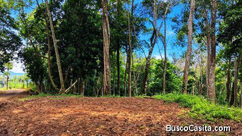 SE VENDE TERRENO LISTO PARA CONSTRUIR CON NACIENTE PROPIA Y CLIMA PERFECTO