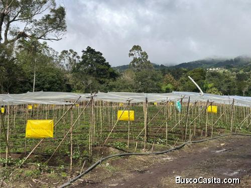 Terreno cerca de ruta 32, San Isidro de Heredia 18,406 mtrs2