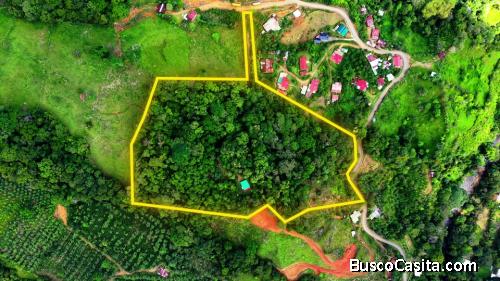 SE VENDE REFUGIO PRIVADO CON MAS DE 4 HECTAREAS DE BOSQUE PRIMARIO