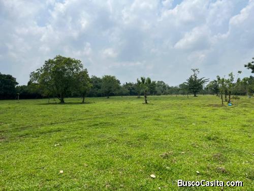 SE VENDE BELLA FINCA EN SAN RAFAEL DE GUÁPILES. 