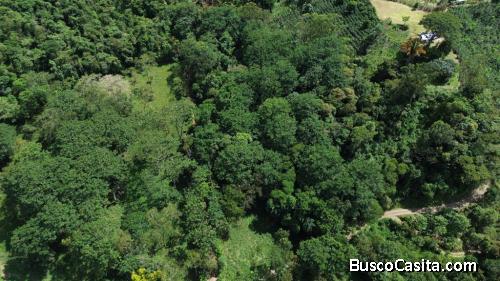 VENTA DE LOTE RESIDENCIAL Y TURISTICO EN SAN FRANCISCO DE RIVAS, PEREZ ZELEDON