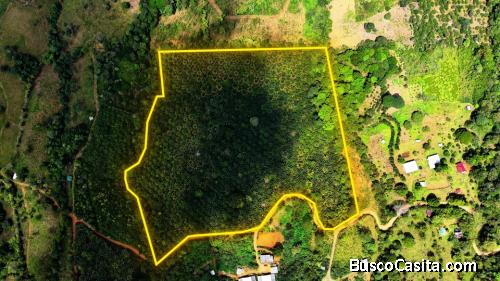 VENTA DE FINCA AGRICOLA DE 6,74 HA CON PALMA AFRICANA EN SAN PEDRO, PEREZ ZELEDON
