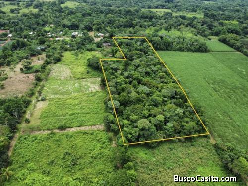 TERRENO EN VENTA CON JUNGLA NATIVA Y ACCESO DIRECTO