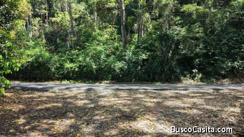 VENTA DE LOTE RESIDENCIAL Y TURISTICO DE 3.892 M2 EN SAN FRANCISCO DE RIVAS, PEREZ ZELEDON