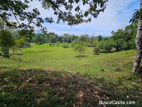 DE OPORTUNIDAD BELLA FINCA PRÓXIMA A LA FORTUNA DE SAN CARLOS.