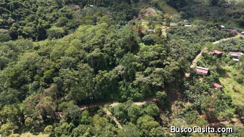 TERRENO LISTO PARA CONSTRUIR CON BOSQUE Y ARROYO CERCA DEL CHIRRIPO