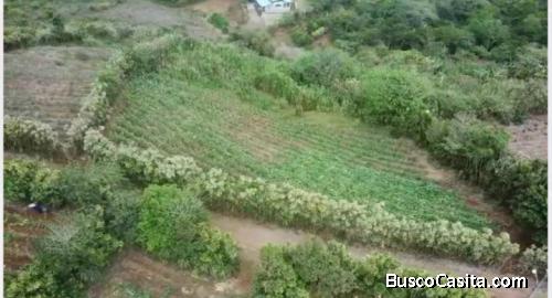SE VENDE ÚTIL FINCA POLLERA EN SAN RAMÓN DE ALAJUELA.