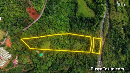SE VENDE FINCA CON VISTAS AL CHIRRIPO Y ACCESO AL RIO BUENA VISTA