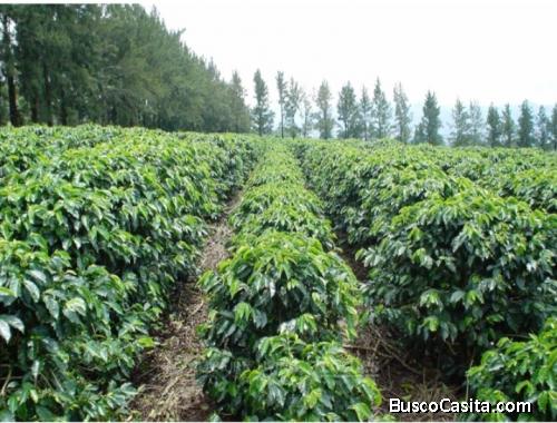 SE VENDEN FINCAS VARIOS USOS EN TODO COSTA RICA.