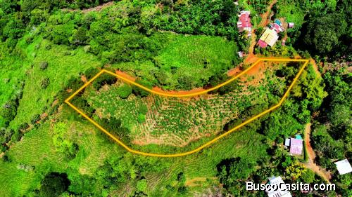VENTA DE TERRENO DE 7.392 M2 CON VISTAS PANORAMICAS EN PLATANARES, PEREZ ZELEDON