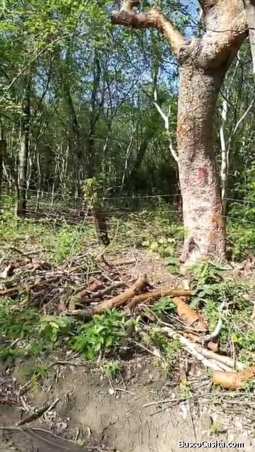 DE OPORTUNIDAD BELLA Y ÚTIL FINCA EN CAÑAS, GUANACASTE. 