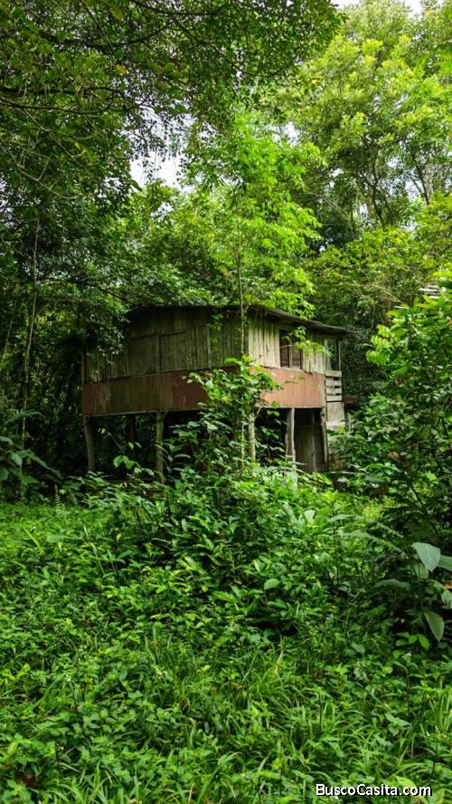 SE VENDE BELLA Y ÚTIL FINCA EN TABARCIA DE MORA, CIUDAD COLÓN. 