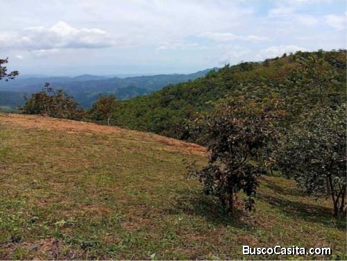 SE VENDE BELLA PROPIEDAD EN PIEDADES SUR DE SAN RAMÓN. 