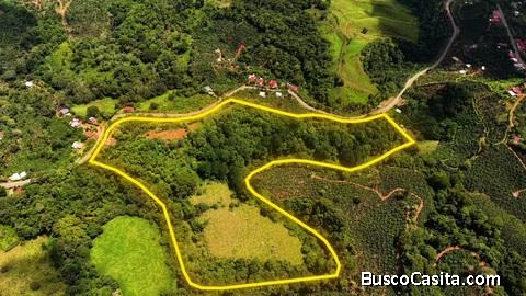 Nueva Oportunidad Finca en Venta en San Pablo, Pérez Zeledón: Propiedad de 8.16 Hectáreas con Dos Ca