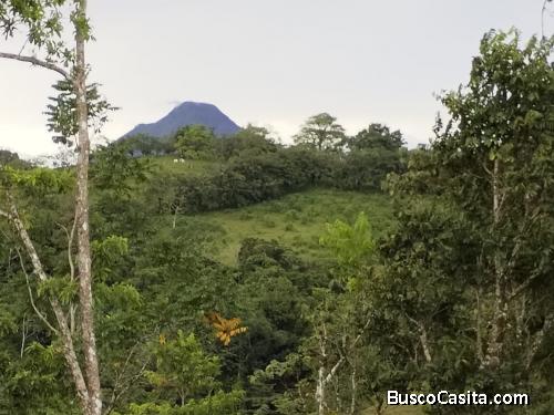 DE OPORTUNIDAD BELLA FINCA EN MONTERREY DE SAN CARLOS. 