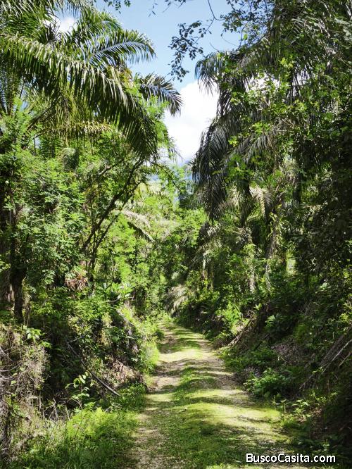 DE OPORTUNIDAD PRECIOSA FINCA EN CIUDAD NEILY. 