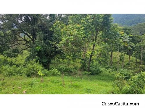 VENTA DE LOTE, RESIDENCIAL Y AGROPECUARIO, HEREDIA, SARAPIQUI