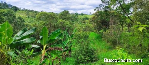 SE VENDE BELLÍSIMA PROPIEDAD EN LAS BRISAS DE SAN VITO. 