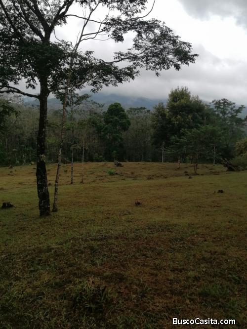 DE OPORTUNIDAD BELLA FINCA EN CRIQUES DE SAN RAMÓN.