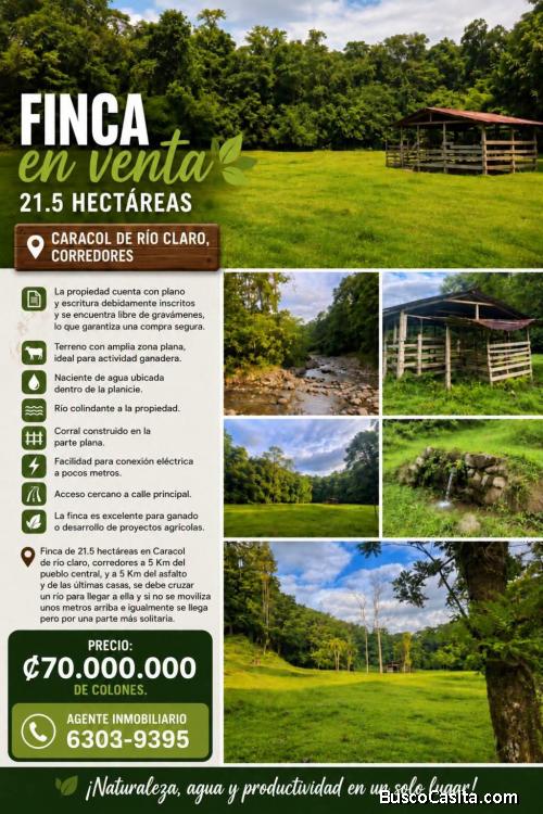 ESPECTACULAR FINCA EN RÍO CLARO DE GOLFITO, PUNTARENAS. 