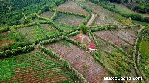 DE OPORTUNIDAD ESPECIAL FINCA PARA USO AVICOLA EN SAN RAMÓN DE ALAJUELA.
