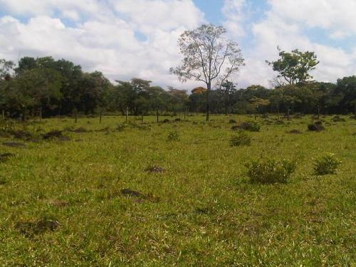VENDO TERRENO TITULADO EN SABANA BONITA , 30 HECTAREAS, LOS ANASTACIOS, CHIRIQUI. 