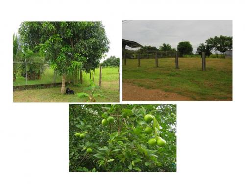 Se vende Terreno cerca de la Feria de azuero y de las Tablas