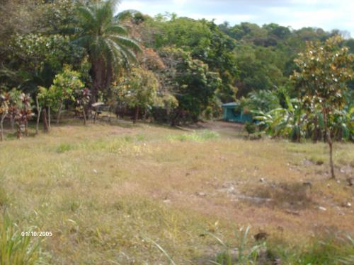 VENTA TERRENO POR RANA DE ORO PEDREGAL