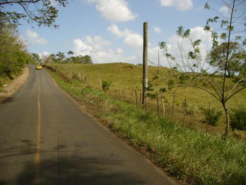 VENTA FINCA EN LA CHORRERA  LAS YAYAS