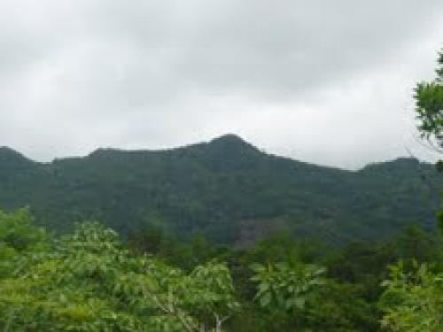 Se vende Terreno en Penonome  (Naranjal)