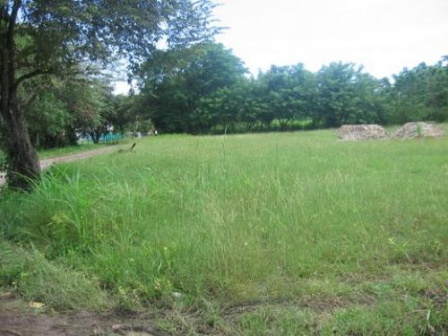 Lot In Gorgona/ lote en Gorgona 