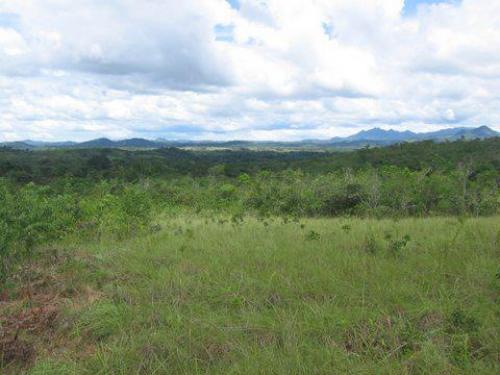 Finca 9.5 hectáreas Penonomé/Land For Sale Farm In Penonome 