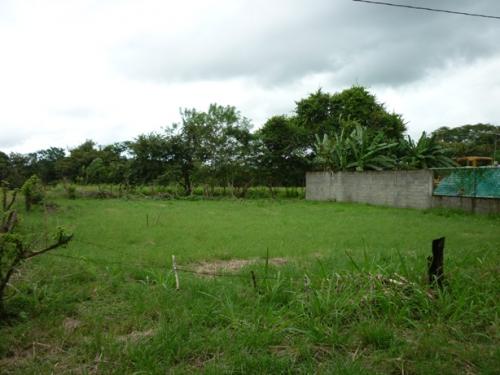 SE VENDE LOTE EN LA CIUDAD DE PENONOME (GANGA)