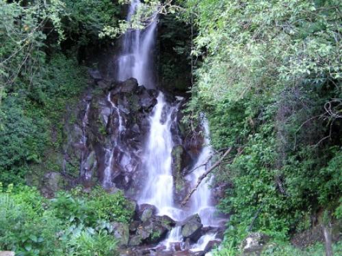 GANGA EN BOQUETE, PANAMA