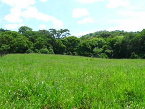 Se vende Finca en la nueva doble Via hacia Boquete