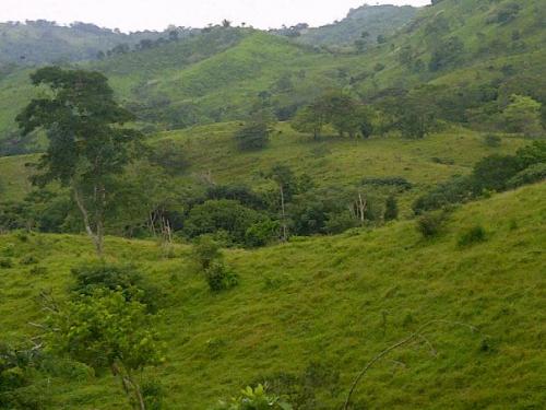 SE VENDE TERRENO TITULADO