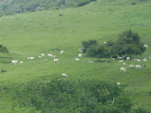 ATRACTIVA FINCA EN COPE A 7 MINUTOS DE LA INTERAMERICANA EN COOPE