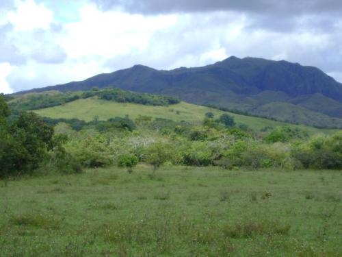 edasi vendo 1000 hectáreas en Panamá  en la Provincia de los santos en Pedasí