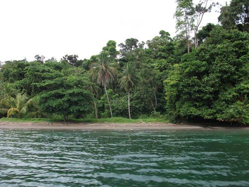VENDO ,ISLA EN EL CARIBE (BOCAS DEL TORO) 