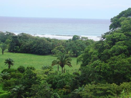  Vendo FINCAS CON PLAYA PARA DESARROLLO PROYECTOS EN PANAMA