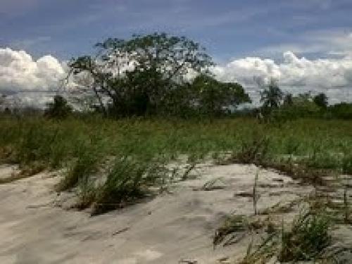 VENDO FINCAS DE 18 HECTAREAS CON PLAYA UBICADA  