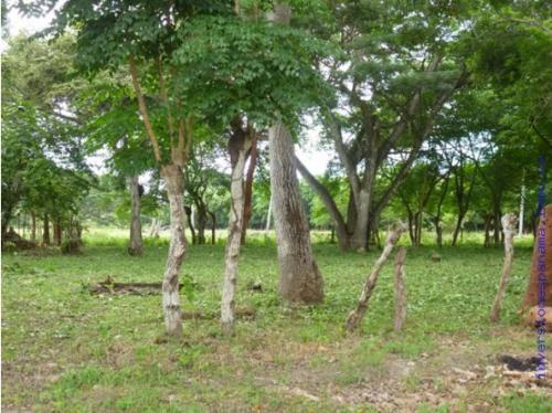 TERRENO EN VENTA, PLAYA JUAN HOMBRON