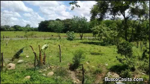 Terreno de 1000 m2 en San Carlos david