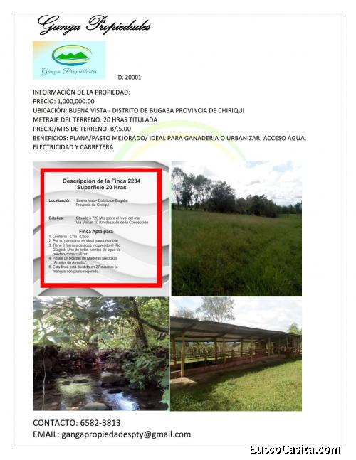 FINCA DE 20 HECTAREAS CHIRIQUI, BUGABA